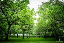 Jean-Noël BRIFFAUD - JNB HOTO