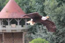 Sandrine GALLÉ - COM UNE CREVETTE - SG PHOTOGRAPHIE