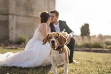 Marine PEQUIN - PHOTOGRAPHY QLM