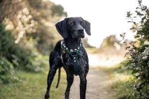 Marine PEQUIN - PHOTOGRAPHY QLM